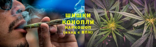 дурь Новозыбков