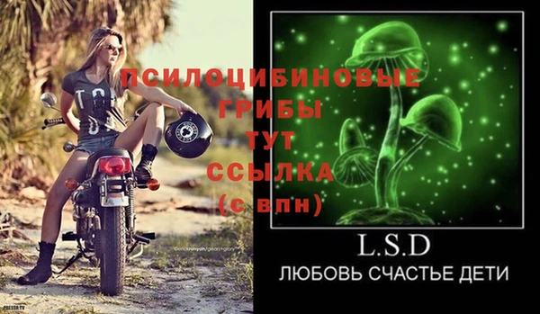 не бодяженный Новодвинск