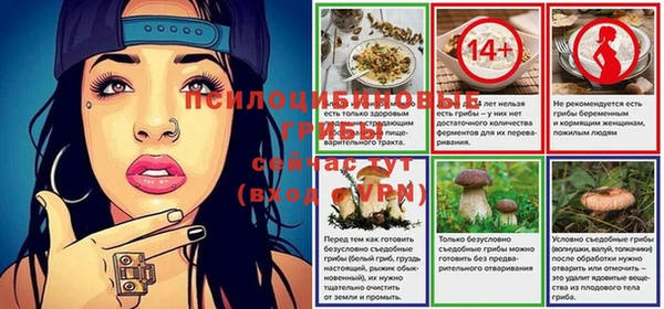 дурь Новозыбков