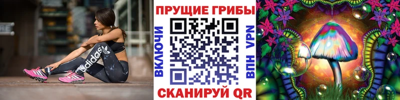ссылка на мегу ссылки  Злынка  Псилоцибиновые грибы Psilocybe 
